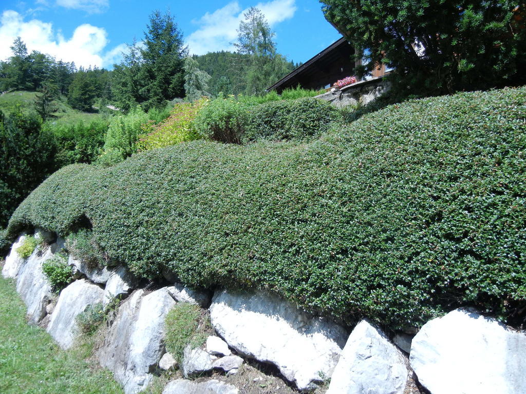 Privathaus Achensee อาเคนเคียร์ค ห้อง รูปภาพ